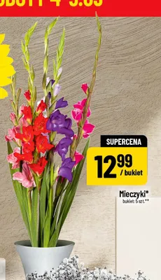 Mieczyki promocja w POLOmarket