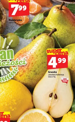 Gruszki Konferencja promocja w TOPAZ
