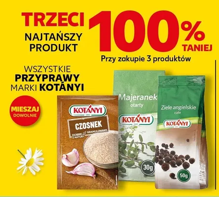 Przyprawy promocja w Kaufland