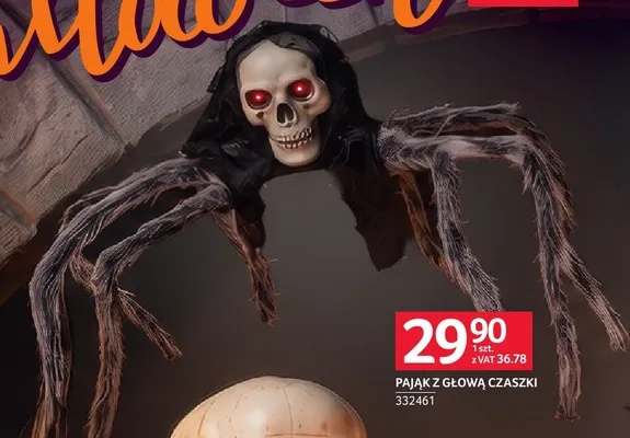 Pająk z głową czaszki promocja w Selgros