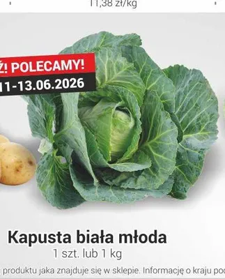 Kapusta biała młoda promocja w Delikatesy Sezam
