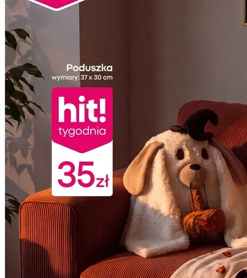 Poduszka 60 x 60 cm promocja w Pepco
