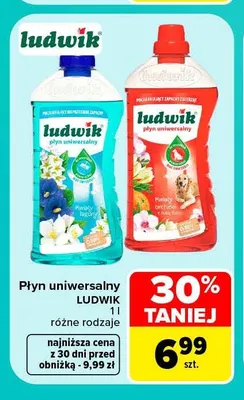 Płyn uniwersalny Ludwik promocja w Carrefour