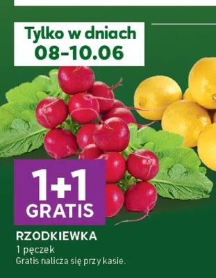 Rzodkiewka promocja w Stokrotka