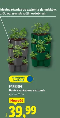 Donica kaskadowa sadzonek wys.: ok. 63 cm promocja w Lidl