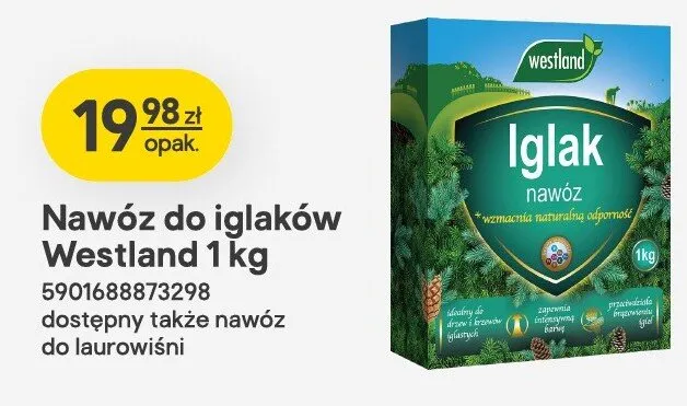 Nawóz do iglaków 1kg promocja w Castorama