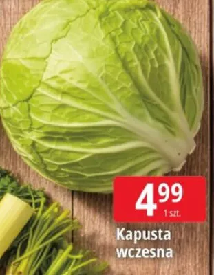 Kapusta wczesna promocja w Leclerc