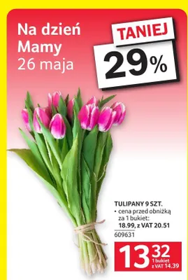 Tulipany 9-pak promocja w Selgros