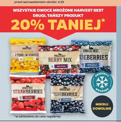 Owoce mrożone borówki Blueberries Harvest Best promocja w Netto