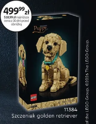 Klocki LEGO 11384 Szczeniak golden retriever promocja w Empik