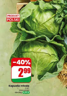 Kapusta młoda promocja w Dino