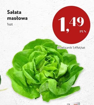 Sałata masłowa promocja w Market Point