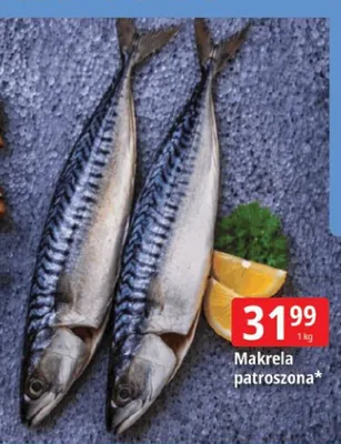 Makrela patroszona promocja w Leclerc