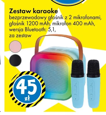 Zestaw karaoke bezprzewodowy głośnik z 2 mikrofonami promocja w Tedi