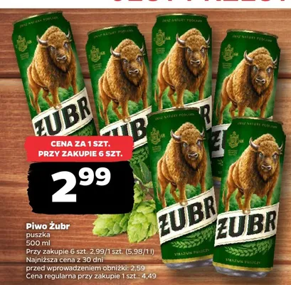 Piwo Żubr promocja w Netto