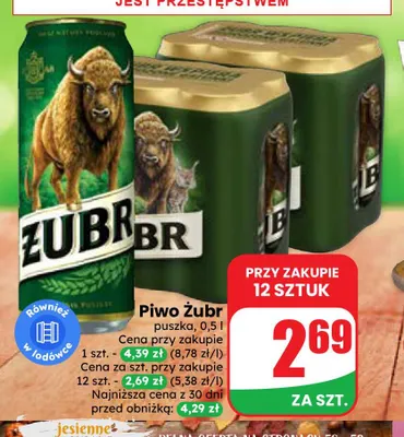 Piwo Żubr promocja w Dino