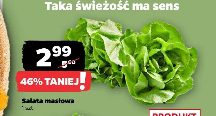 Sałata masłowa promocja w Netto