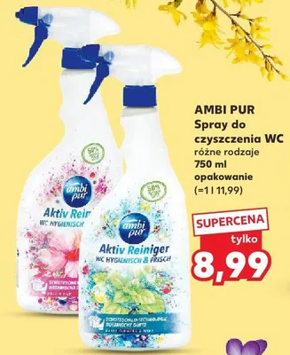 Spray do czyszczenia WC różne rodzaje promocja w Kaufland