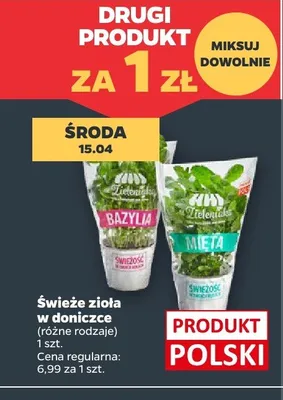 Świeże zioła w doniczkach promocja w Netto