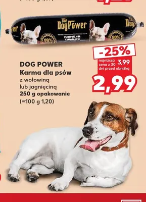 Karma dla psów Dog Power z jagnięciną promocja w Kaufland