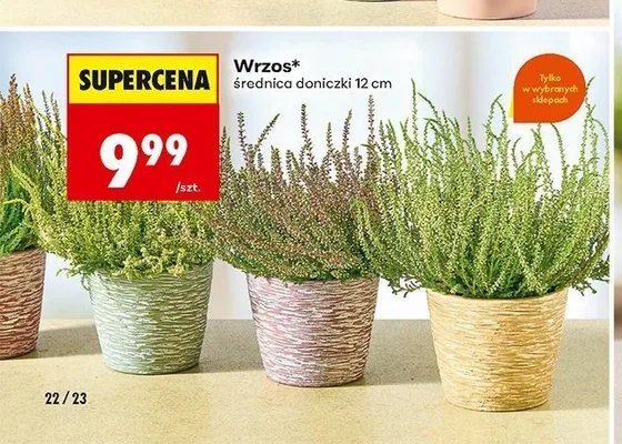 Wrzos promocja w Biedronka