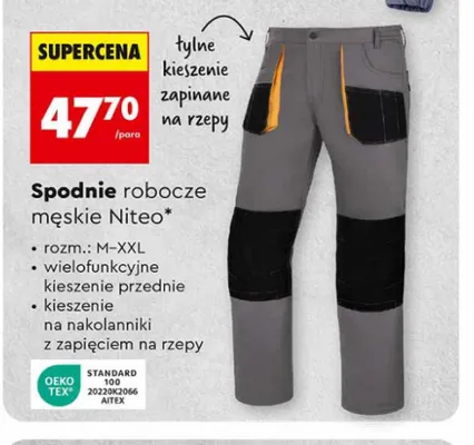 Spodnie robocze męskie Niteo promocja w Biedronka