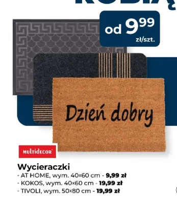 Wycieraczka At Home 40x60 cm Multidecor promocja w PSB Mrówka