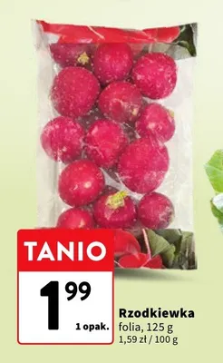 Rzodkiewka folia promocja w Intermarche
