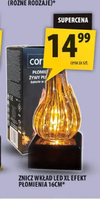 Znicz wkład LED Xl efekt płomienia 16 cm Cortina promocja w Arhelan