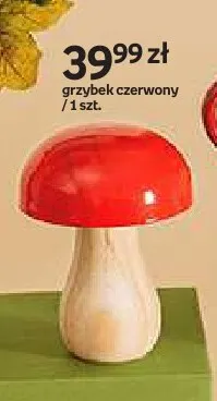 Grzybek czerwony Hello Autumn promocja w Empik