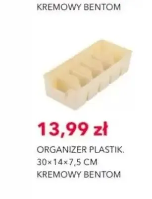 Organizer plastikowy Bentom 30x14x7,5 cm promocja w Nela
