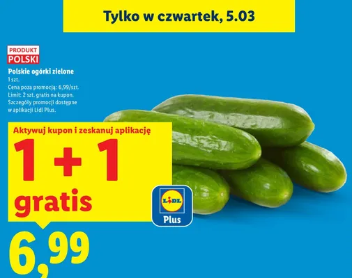 Ogórki zielone 1 szt. Lidl promocja w Lidl