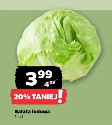 Sałata lodowa promocja w Netto