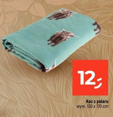 Koc z polaru 130x170cm promocja w Dealz
