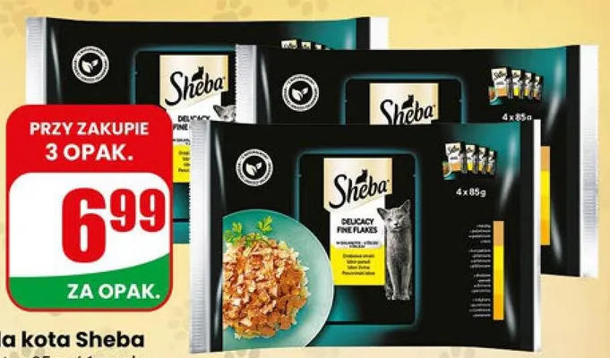 Mokra karma dla kota Winston promocja w Dino