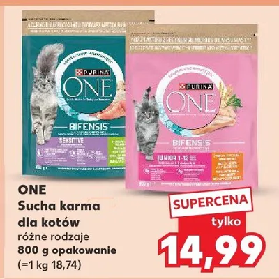 Sucha karma dla kotów różne rodzaje promocja w Kaufland
