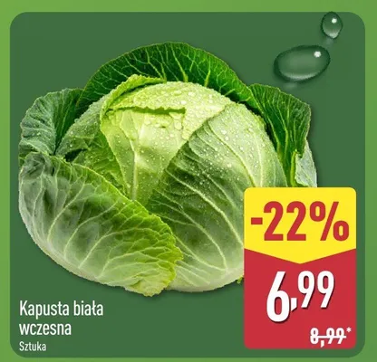 Kapusta biała wczesna promocja w Aldi