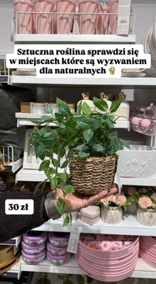 Roślina sztuczna w koszyku promocja w Pepco