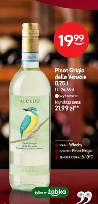 Wino białe Pinot Grigio delle Venezie promocja w Żabka