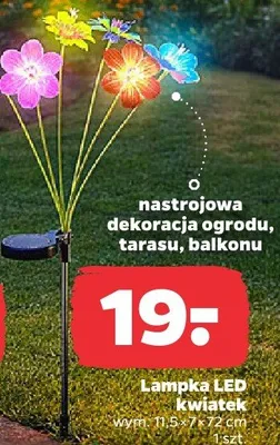 Lampka LED kwiatek promocja w Netto