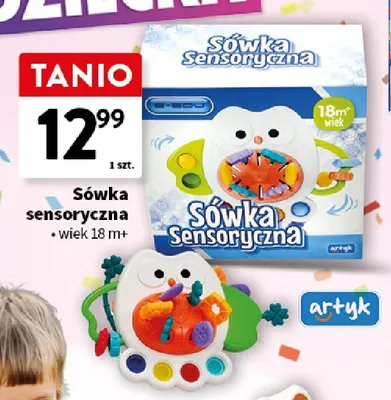 Sówka sensoryczna artyk promocja w Intermarche