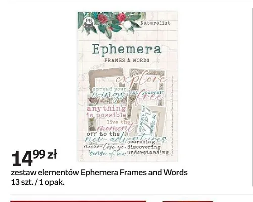 Zestaw elementów Ephemera Frames and Words 13szt. promocja w Empik