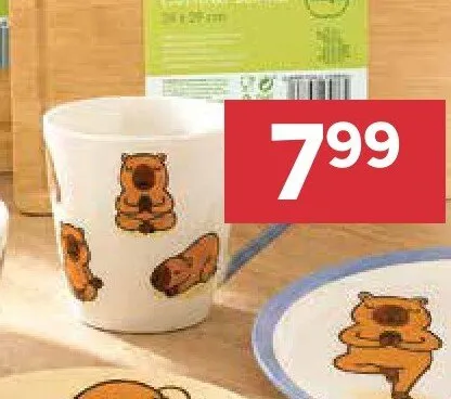 Kubek Aurora Kapibara promocja w Stokrotka