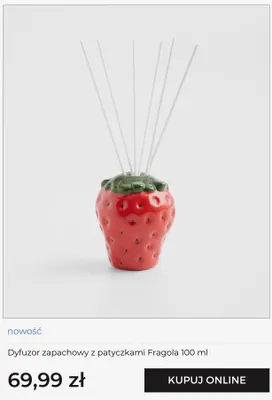 Dyfuzor zapachowy z patyczkami Fragola home&you promocja w home&you