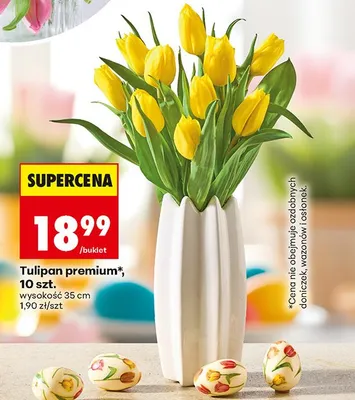 Tulipan premium, 10 szt. promocja w Biedronka