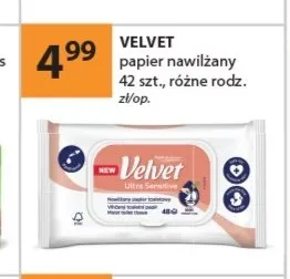 Papier nawilżany Velvet 42-pak promocja w Drogerie Laboo