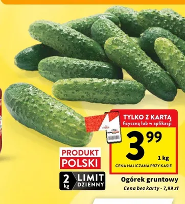 Ogórek gruntowy promocja w Intermarche