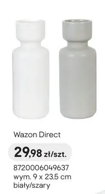 Wazon Direct promocja w Castorama