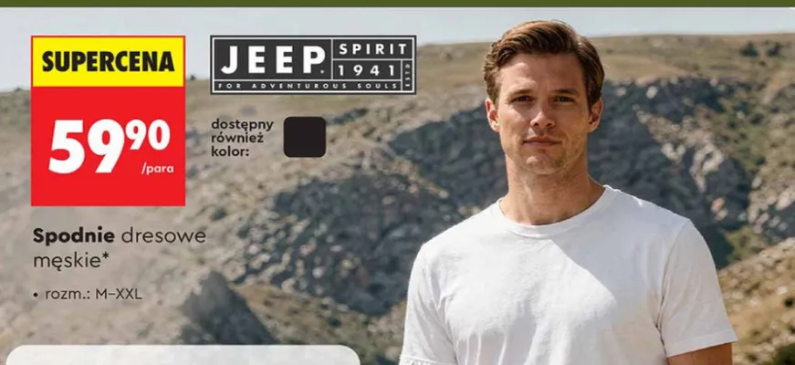 Spodnie dresowe męskie m-2xl LONSDALE promocja w Biedronka