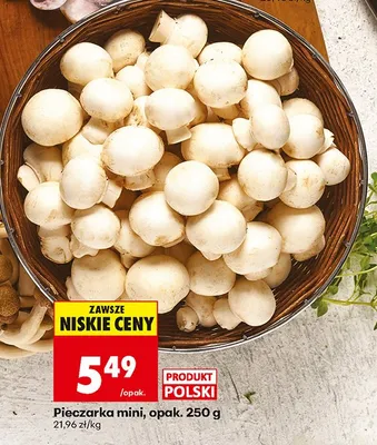 Pieczarka mini promocja w Biedronka
